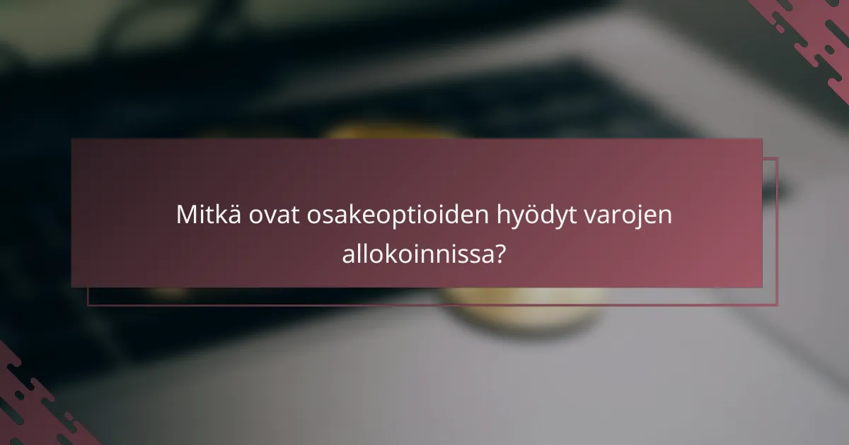 Mitkä ovat osakeoptioiden hyödyt varojen allokoinnissa?