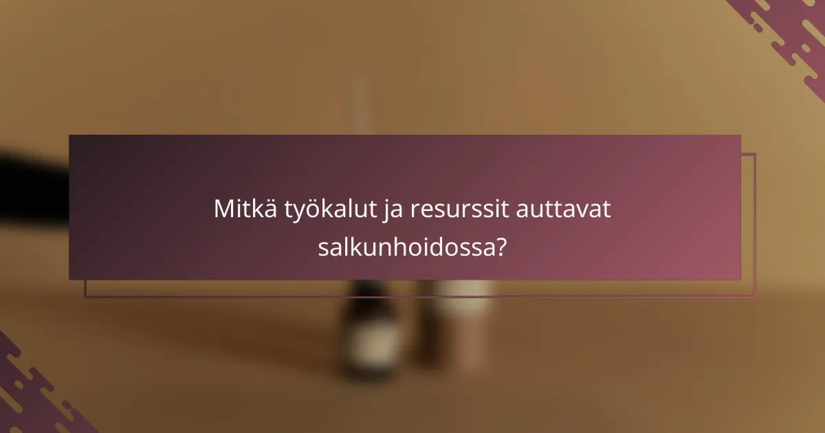 Mitkä työkalut ja resurssit auttavat salkunhoidossa?